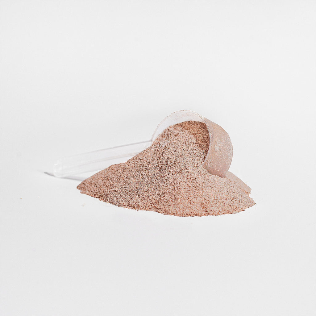 Promised chocolate grass-fed collagen peptides powder with a clear plastic scoop on a white background